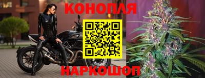 спиды Малгобек